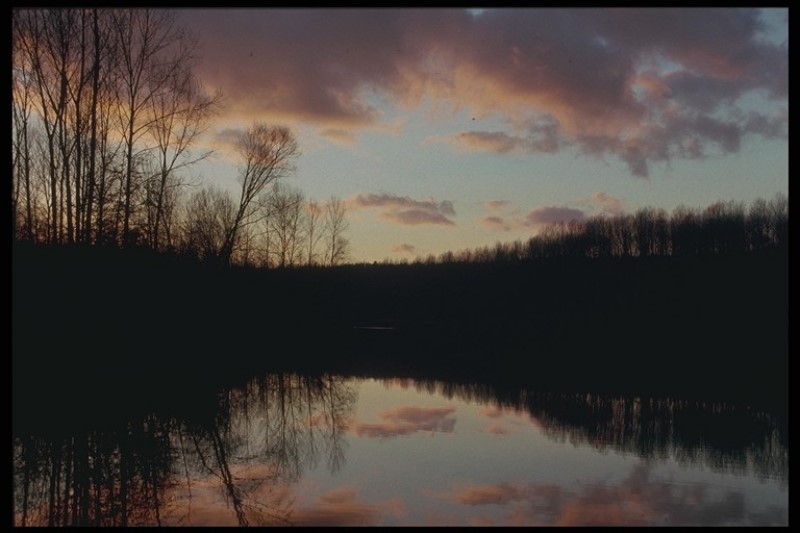 ../Images/Img0003.jpg