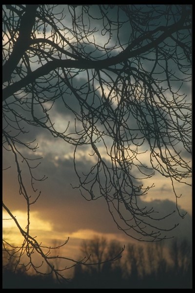 ../Images/Img0013.jpg
