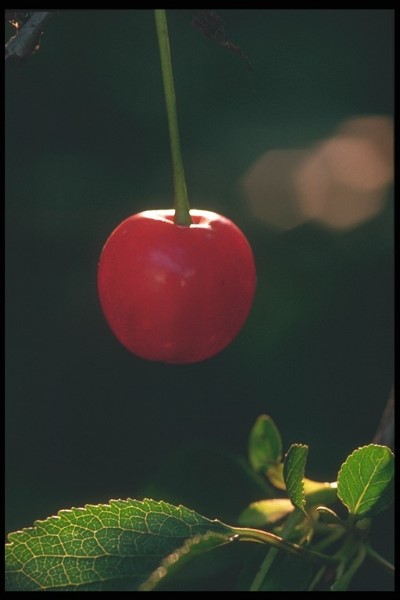 ../Images/Img0021.jpg