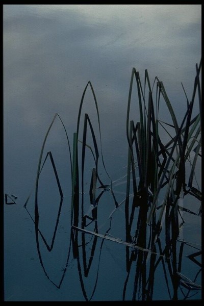 ../Images/Img0032.jpg