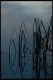 Thumbs/tn_Img0032.jpg