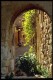 Thumbs/tn_Img0041.jpg