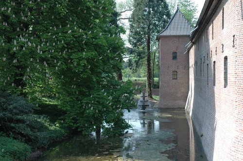 DSC_0056.jpg