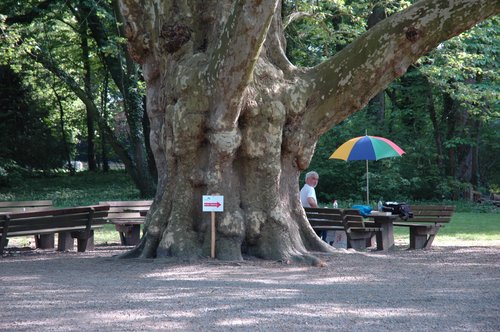 DSC_0072.jpg