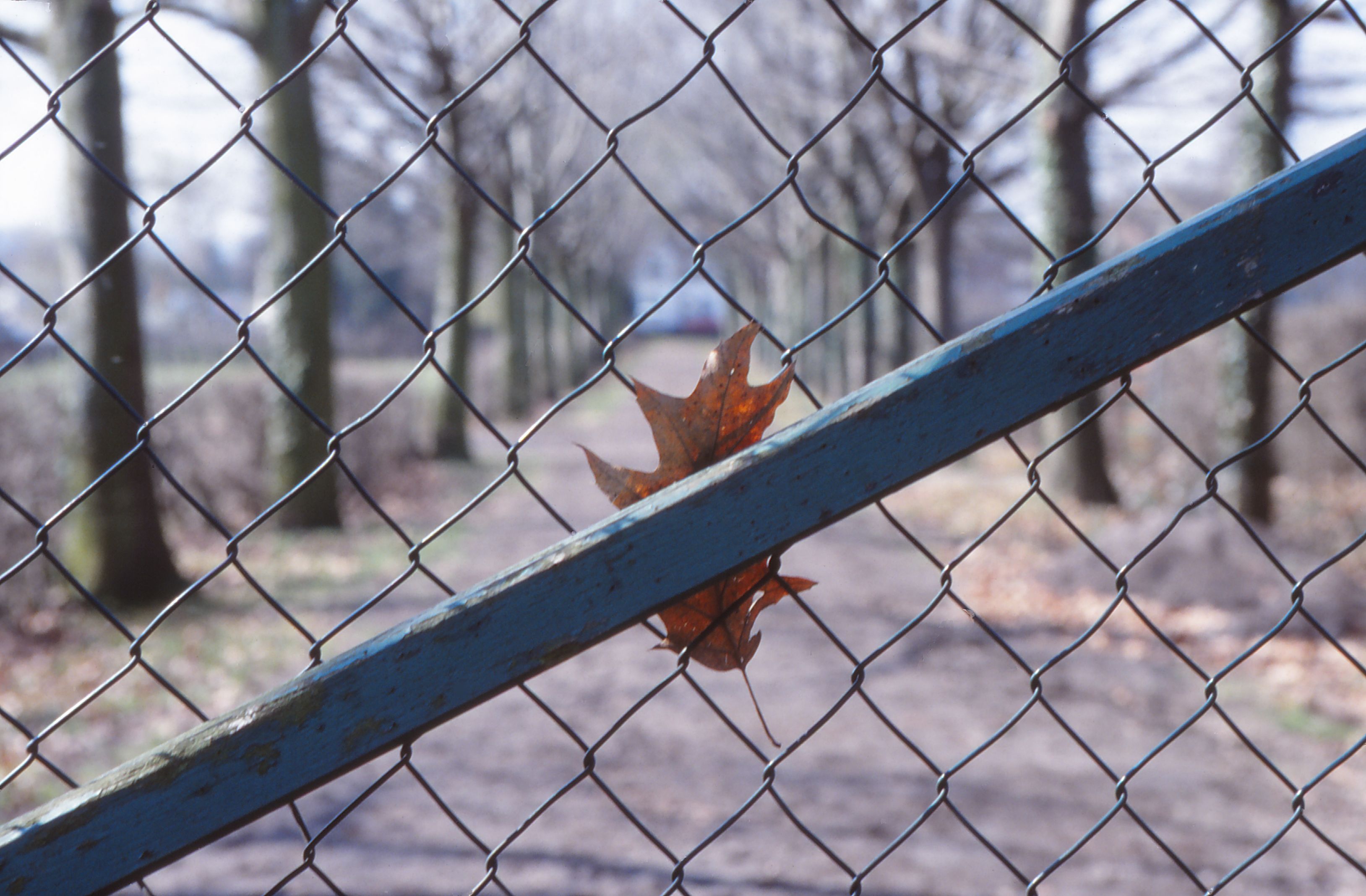 Foto zum Thema "Durchblicke "